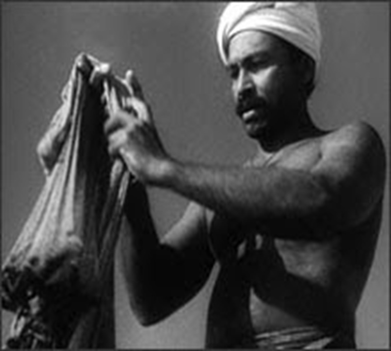 බැසිල් රයිට්ගේ  